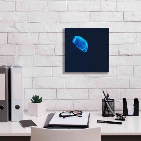 Image of 'Earth as Art: Scorpion Reef,' Canvas Wall Art,12 x 12