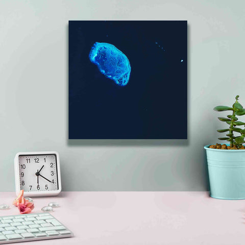 Image of 'Earth as Art: Scorpion Reef,' Canvas Wall Art,12 x 12