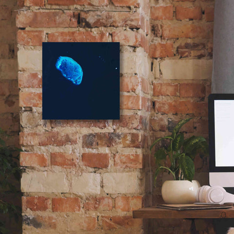 Image of 'Earth as Art: Scorpion Reef,' Canvas Wall Art,12 x 12