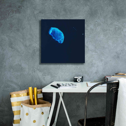 Image of 'Earth as Art: Scorpion Reef,' Canvas Wall Art,18 x 18