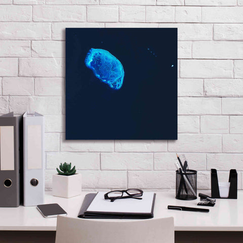 Image of 'Earth as Art: Scorpion Reef,' Canvas Wall Art,18 x 18