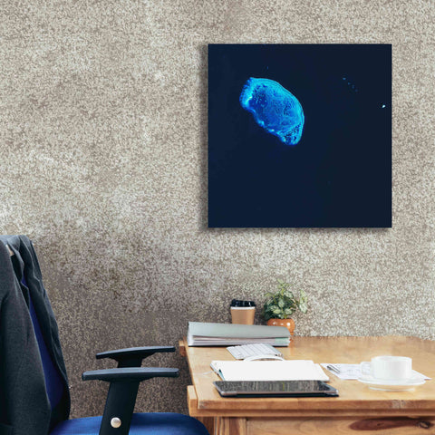 Image of 'Earth as Art: Scorpion Reef,' Canvas Wall Art,26 x 26