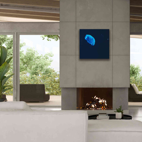 Image of 'Earth as Art: Scorpion Reef,' Canvas Wall Art,26 x 26