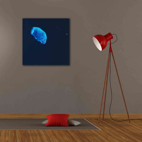 Image of 'Earth as Art: Scorpion Reef,' Canvas Wall Art,26 x 26