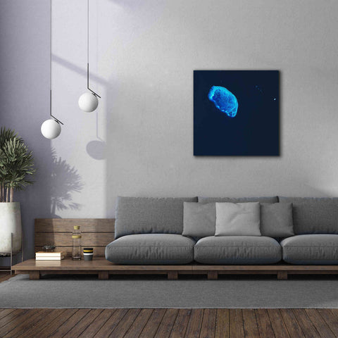Image of 'Earth as Art: Scorpion Reef,' Canvas Wall Art,37 x 37