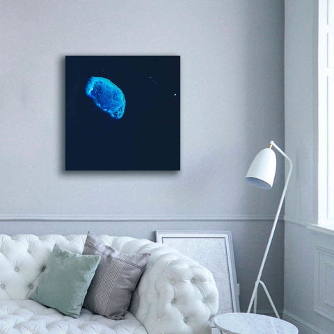 Image of 'Earth as Art: Scorpion Reef,' Canvas Wall Art,37 x 37