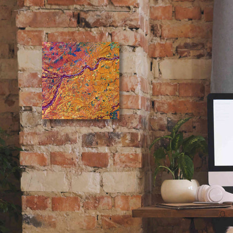 Image of 'Earth as Art: Capillaries,' Canvas Wall Art,12 x 12