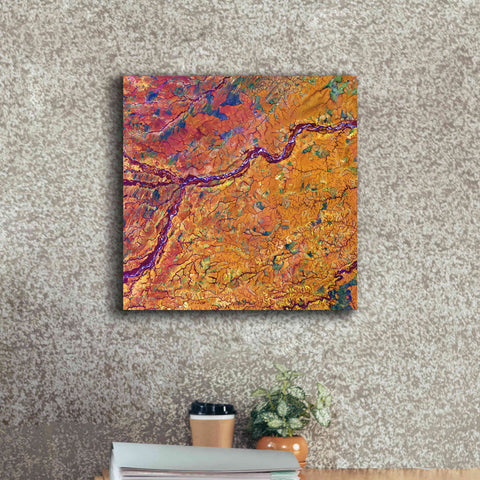 Image of 'Earth as Art: Capillaries,' Canvas Wall Art,18 x 18