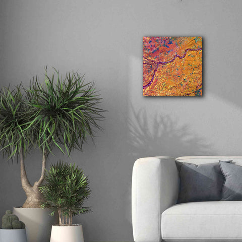 Image of 'Earth as Art: Capillaries,' Canvas Wall Art,18 x 18