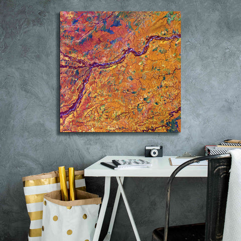 Image of 'Earth as Art: Capillaries,' Canvas Wall Art,26 x 26