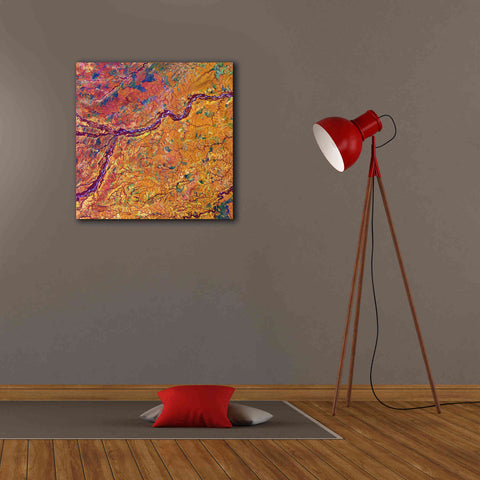 Image of 'Earth as Art: Capillaries,' Canvas Wall Art,26 x 26