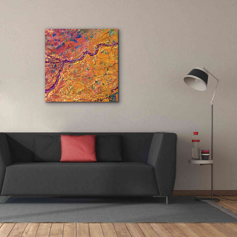 Image of 'Earth as Art: Capillaries,' Canvas Wall Art,37 x 37