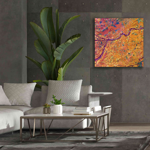 Image of 'Earth as Art: Capillaries,' Canvas Wall Art,37 x 37