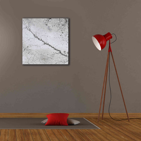 Image of 'Earth as Art: Bleak Midwinter,' Canvas Wall Art,26 x 26