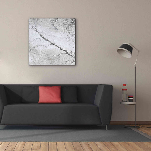 Image of 'Earth as Art: Bleak Midwinter,' Canvas Wall Art,37 x 37