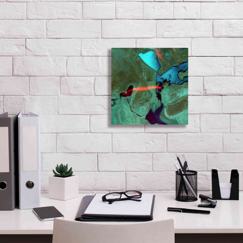 Image of 'Earth as Art: Bleeding Heart,' Canvas Wall Art,12 x 12