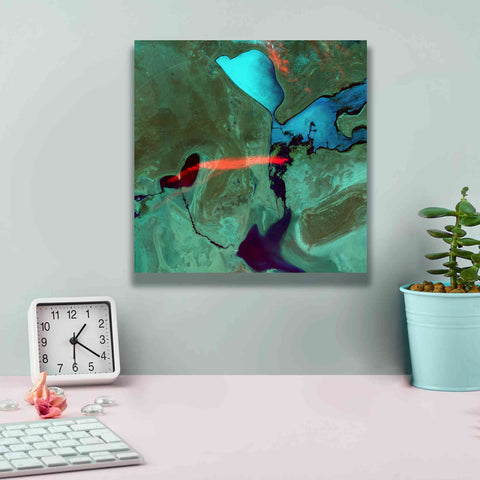 Image of 'Earth as Art: Bleeding Heart,' Canvas Wall Art,12 x 12