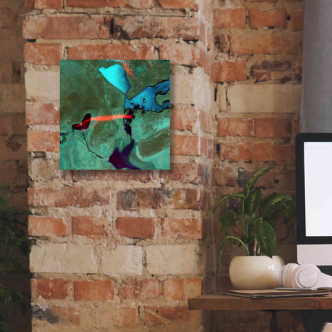 Image of 'Earth as Art: Bleeding Heart,' Canvas Wall Art,12 x 12