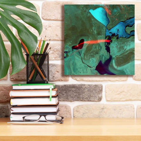 Image of 'Earth as Art: Bleeding Heart,' Canvas Wall Art,12 x 12