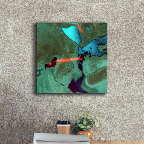 Image of 'Earth as Art: Bleeding Heart,' Canvas Wall Art,18 x 18