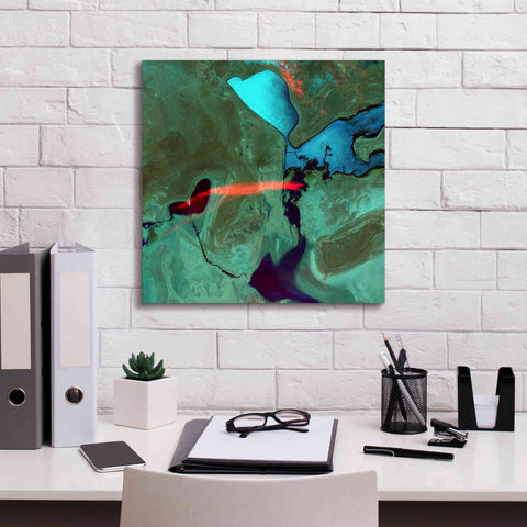 Image of 'Earth as Art: Bleeding Heart,' Canvas Wall Art,18 x 18