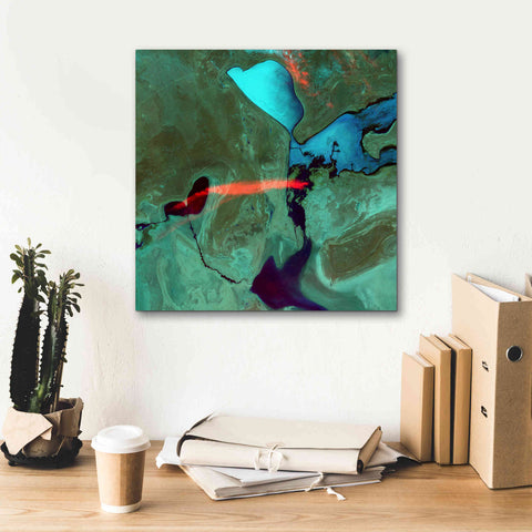 Image of 'Earth as Art: Bleeding Heart,' Canvas Wall Art,18 x 18