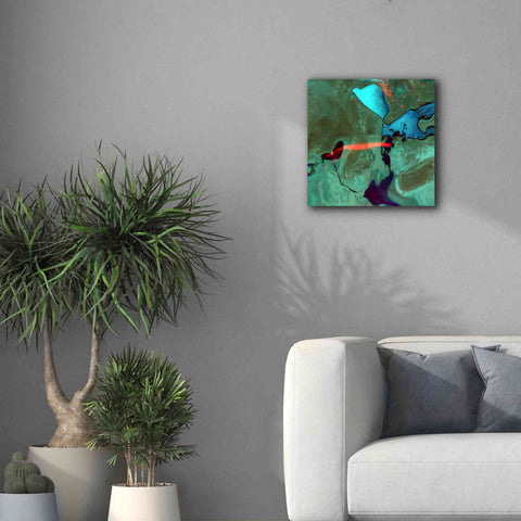 Image of 'Earth as Art: Bleeding Heart,' Canvas Wall Art,18 x 18