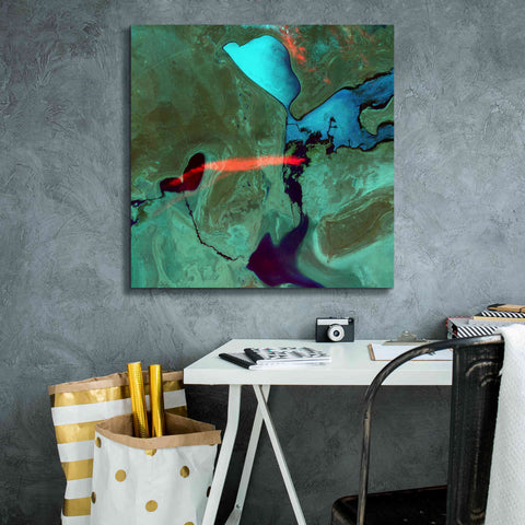 Image of 'Earth as Art: Bleeding Heart,' Canvas Wall Art,26 x 26