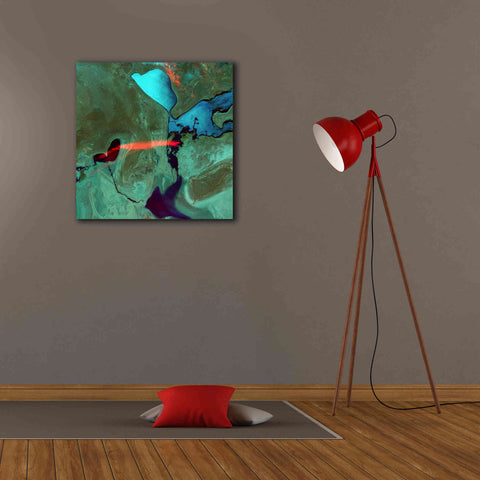 Image of 'Earth as Art: Bleeding Heart,' Canvas Wall Art,26 x 26