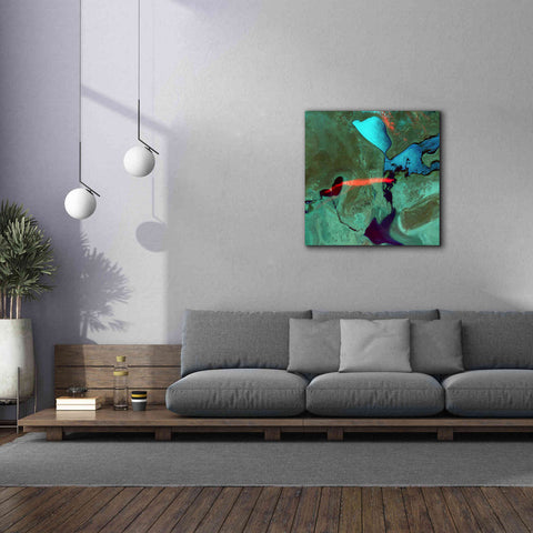 Image of 'Earth as Art: Bleeding Heart,' Canvas Wall Art,37 x 37