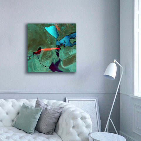 Image of 'Earth as Art: Bleeding Heart,' Canvas Wall Art,37 x 37