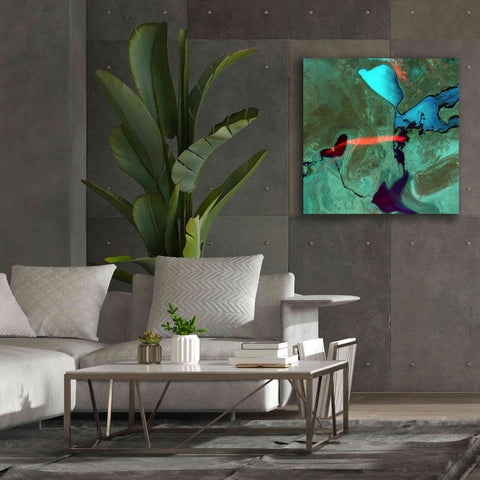 Image of 'Earth as Art: Bleeding Heart,' Canvas Wall Art,37 x 37