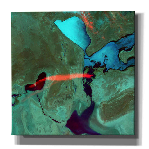 Image of 'Earth as Art: Bleeding Heart,' Canvas Wall Art,12x12x1.1x0,18x18x1.1x0,26x26x1.74x0,37x37x1.74x0