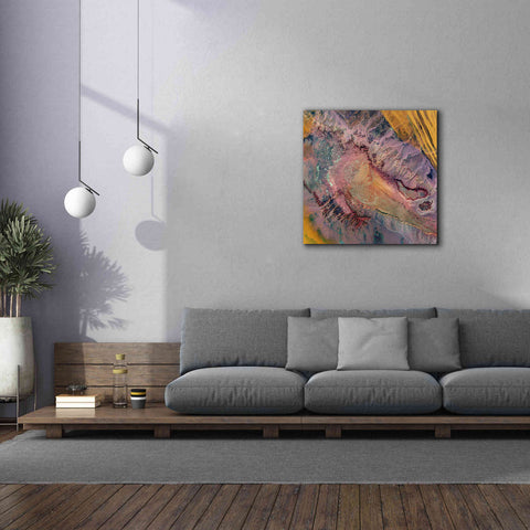 Image of 'Earth as Art: Expressions in the Desert,' Canvas Wall Art,37 x 37