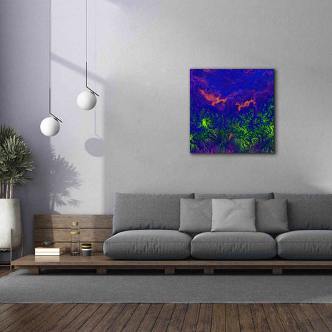 Image of 'Earth as Art: Fanciful Fluorescence,' Canvas Wall Art,37 x 37