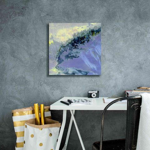 Image of 'Earth as Art: Lurking Madness,' Canvas Wall Art,18 x 18