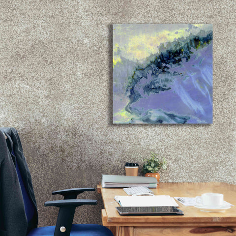 Image of 'Earth as Art: Lurking Madness,' Canvas Wall Art,26 x 26