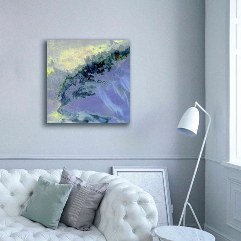 Image of 'Earth as Art: Lurking Madness,' Canvas Wall Art,37 x 37