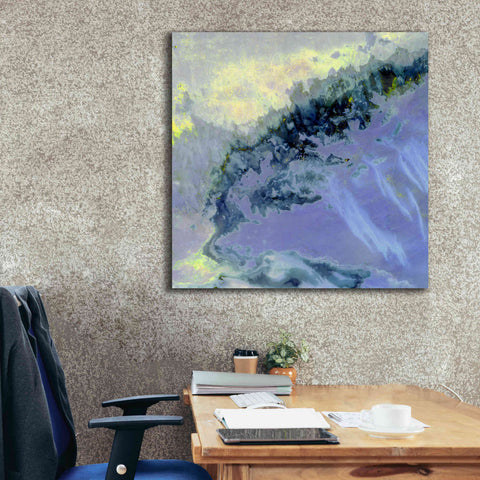 Image of 'Earth as Art: Lurking Madness,' Canvas Wall Art,37 x 37