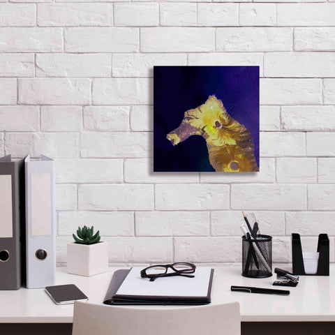 Image of 'Earth as Art: Painted Horse,' Canvas Wall Art,12 x 12