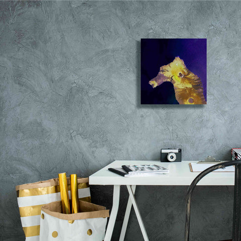 Image of 'Earth as Art: Painted Horse,' Canvas Wall Art,12 x 12