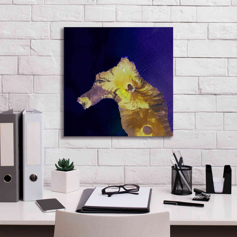 Image of 'Earth as Art: Painted Horse,' Canvas Wall Art,18 x 18