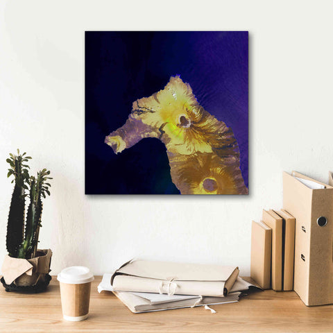 Image of 'Earth as Art: Painted Horse,' Canvas Wall Art,18 x 18