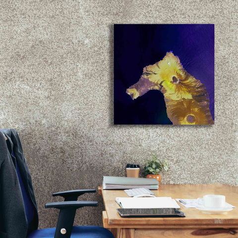 Image of 'Earth as Art: Painted Horse,' Canvas Wall Art,26 x 26