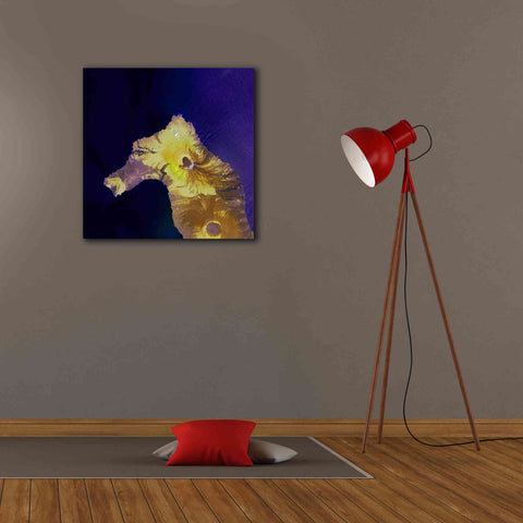 Image of 'Earth as Art: Painted Horse,' Canvas Wall Art,26 x 26