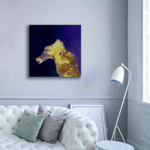 Image of 'Earth as Art: Painted Horse,' Canvas Wall Art,37 x 37