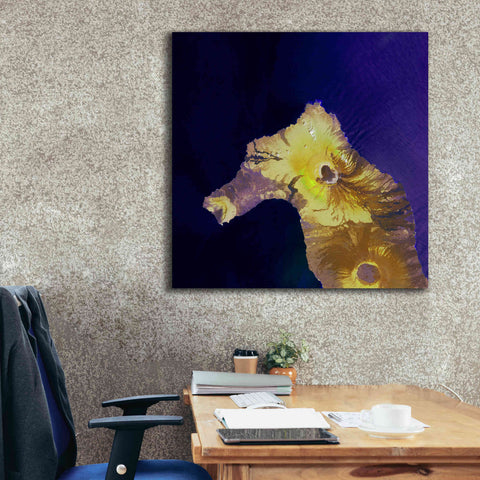 Image of 'Earth as Art: Painted Horse,' Canvas Wall Art,37 x 37