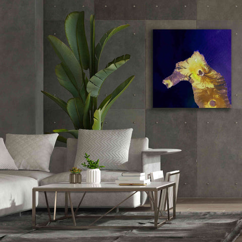 Image of 'Earth as Art: Painted Horse,' Canvas Wall Art,37 x 37