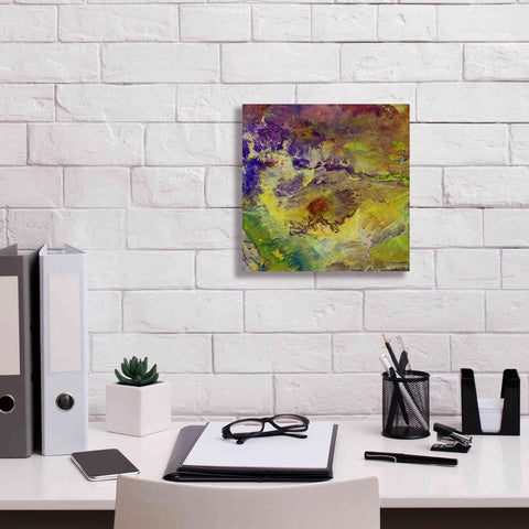 Image of 'Earth as Art: Sabotage,' Canvas Wall Art,12 x 12