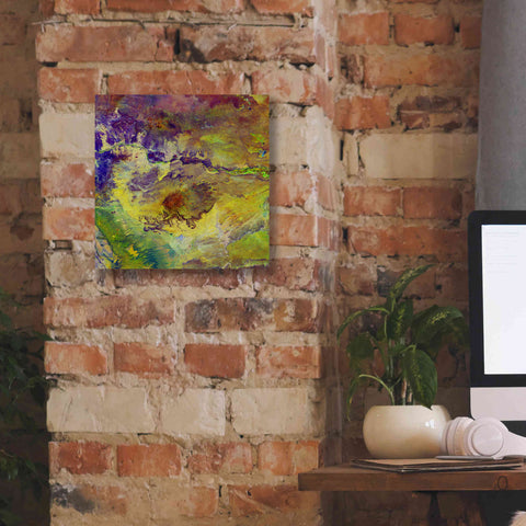 Image of 'Earth as Art: Sabotage,' Canvas Wall Art,12 x 12